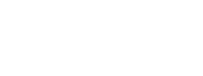 Reptiles Guides